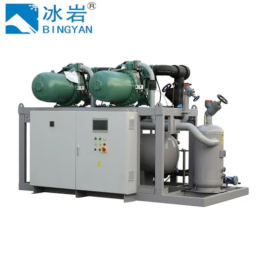 Refrigeration Unit Parts Compound Two-Stage Compressor Single-Stage Screw Compressors Cold Storage Cold Room Low Temperature Screw Compressor